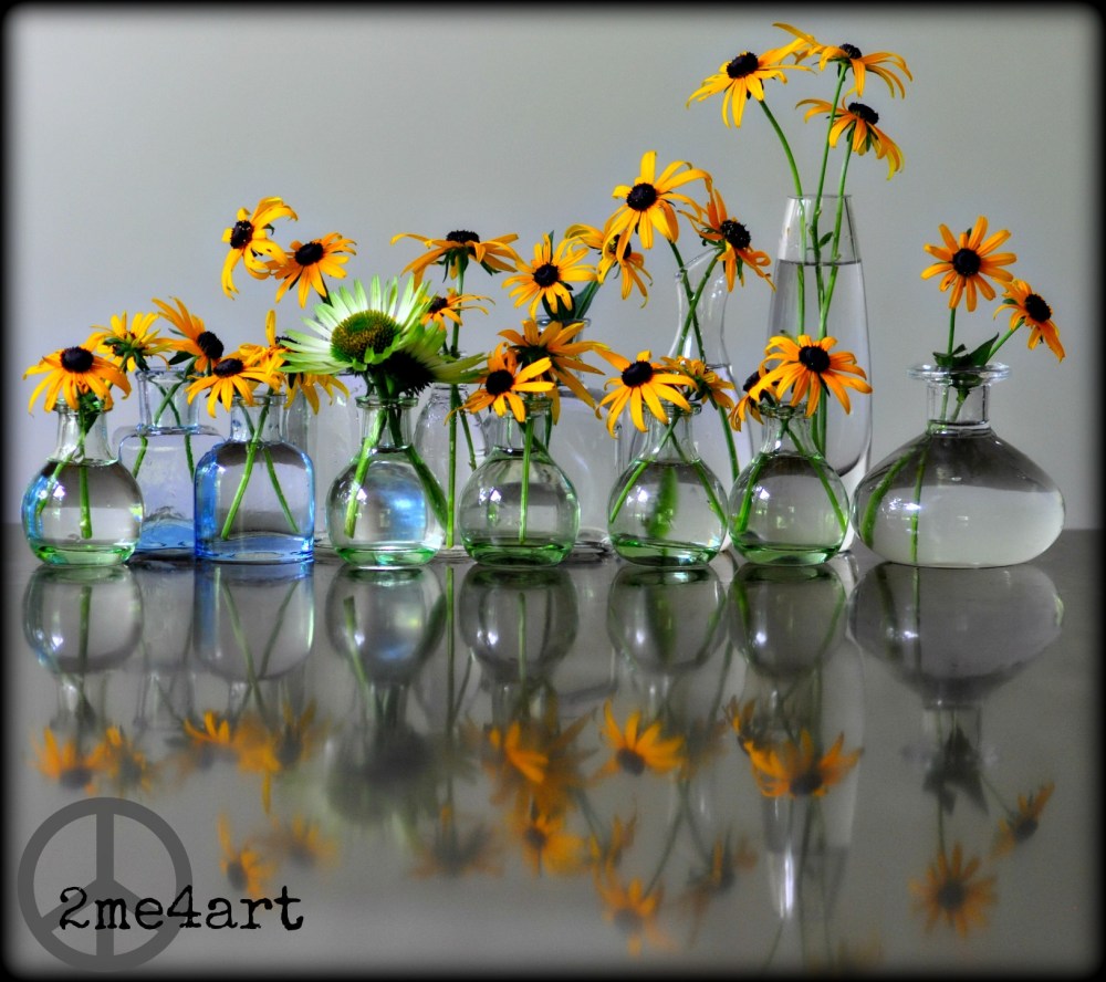 my black eyed susans sit on my table