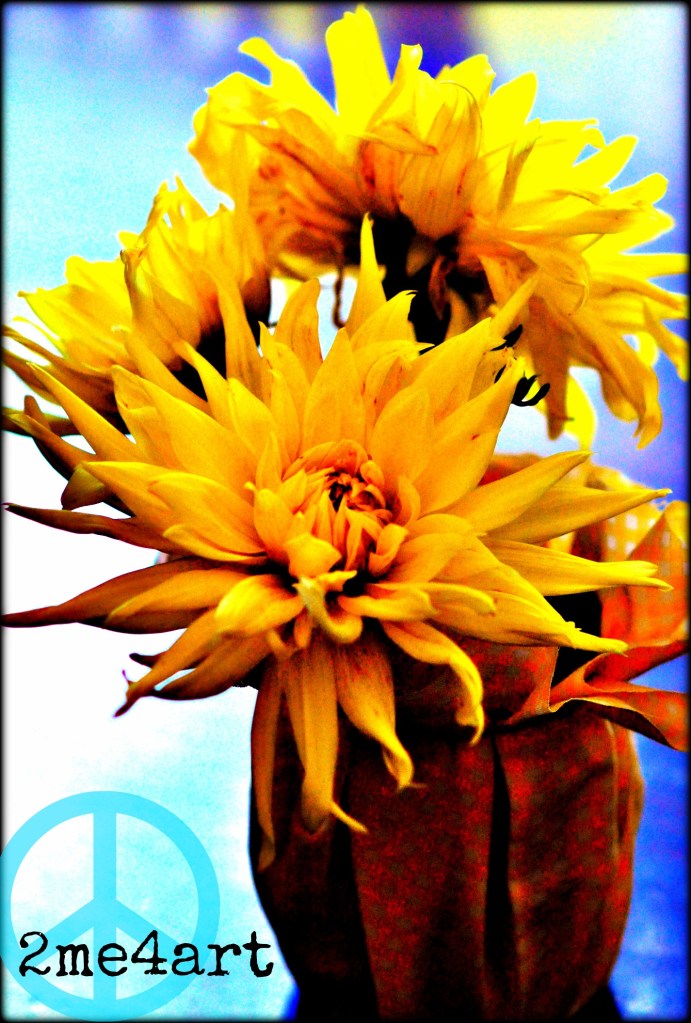 howtobringflowersfromyourgarden