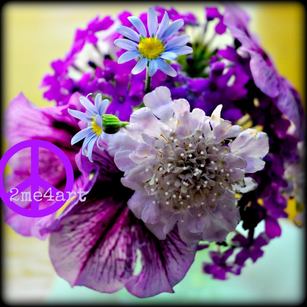 purple & blue from my garden