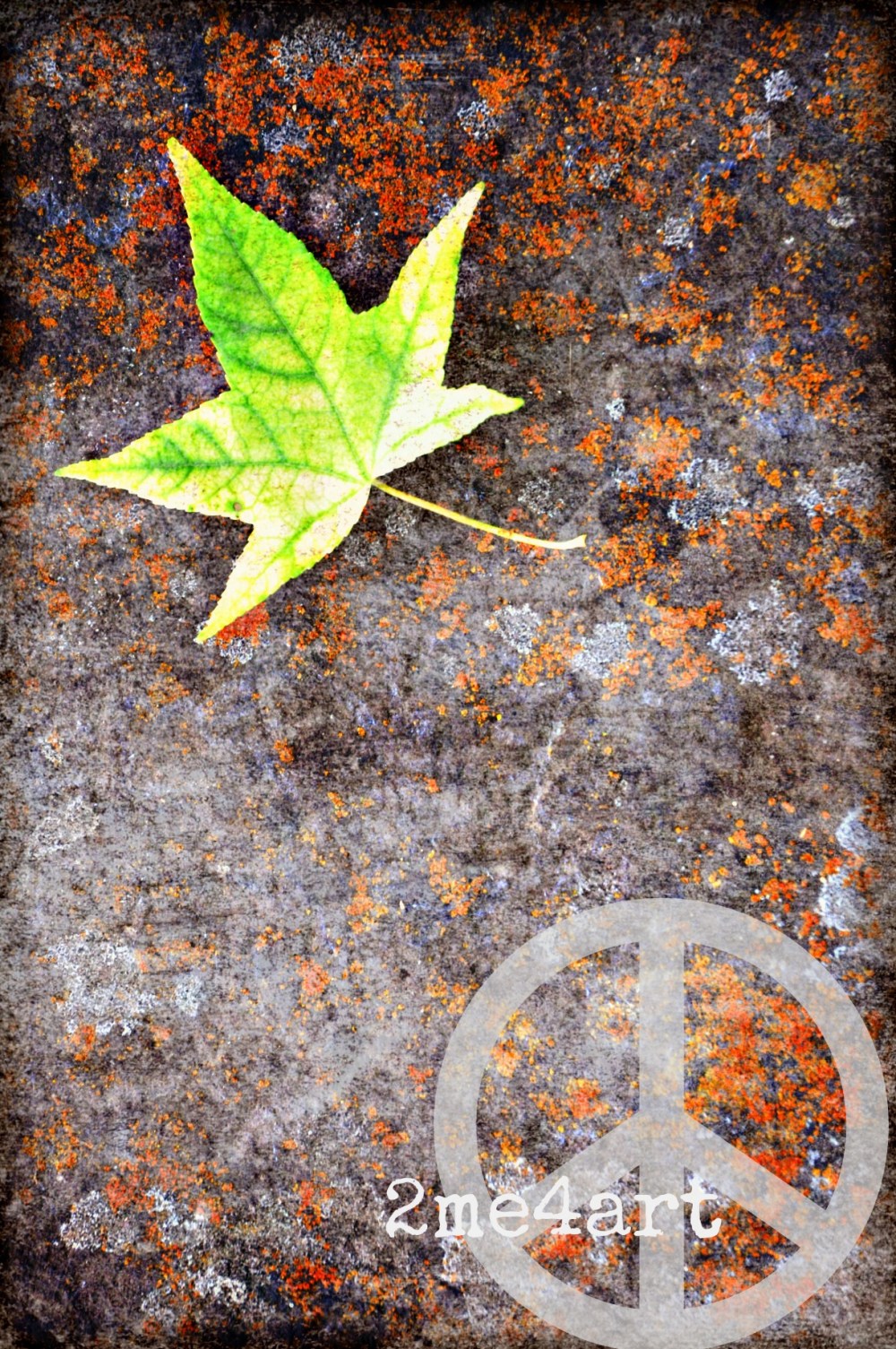 orange moss with lime green