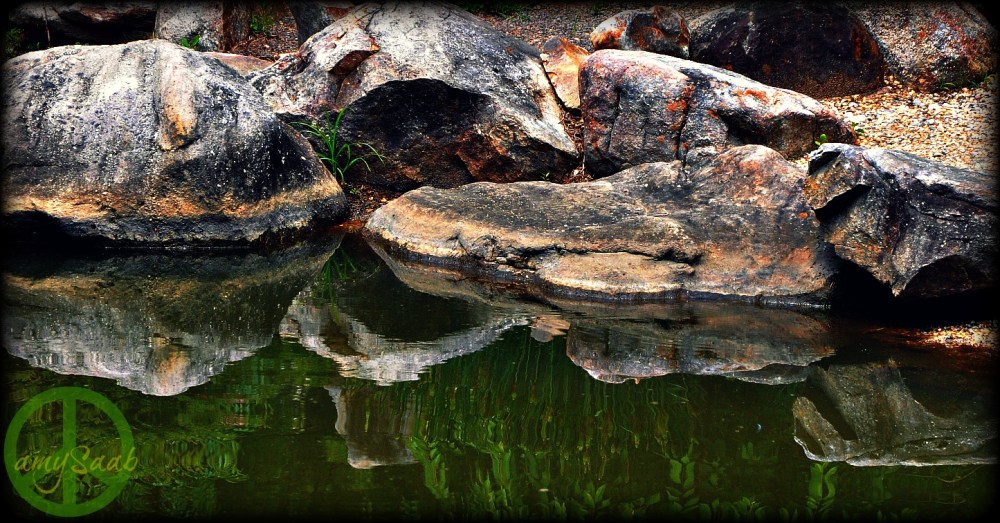 water makes the rock whole