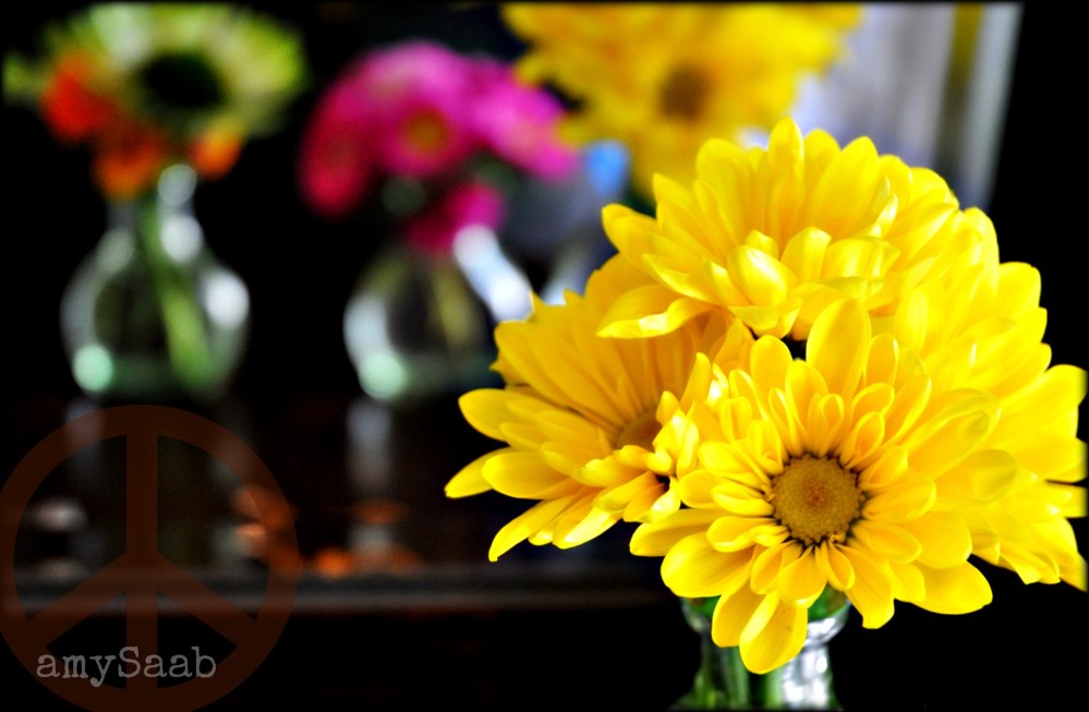 beauty found in reflection