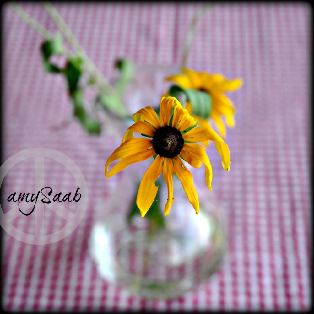 Trying to bring a little happiness