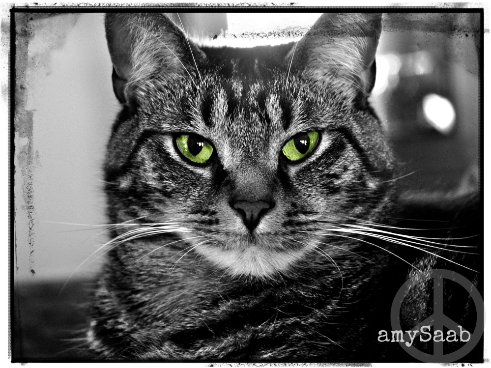 What are you looking at?