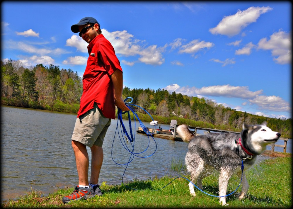 blue sky, red shirt, wet dog