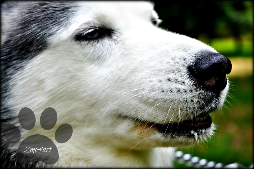 um you got a little water on your chin