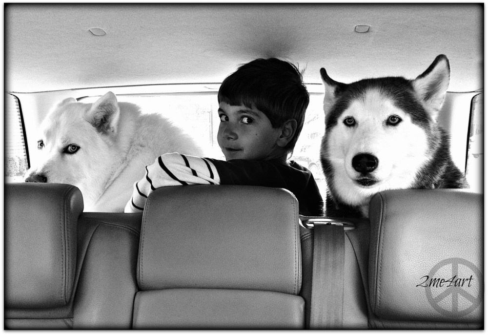 phones can capture moments 