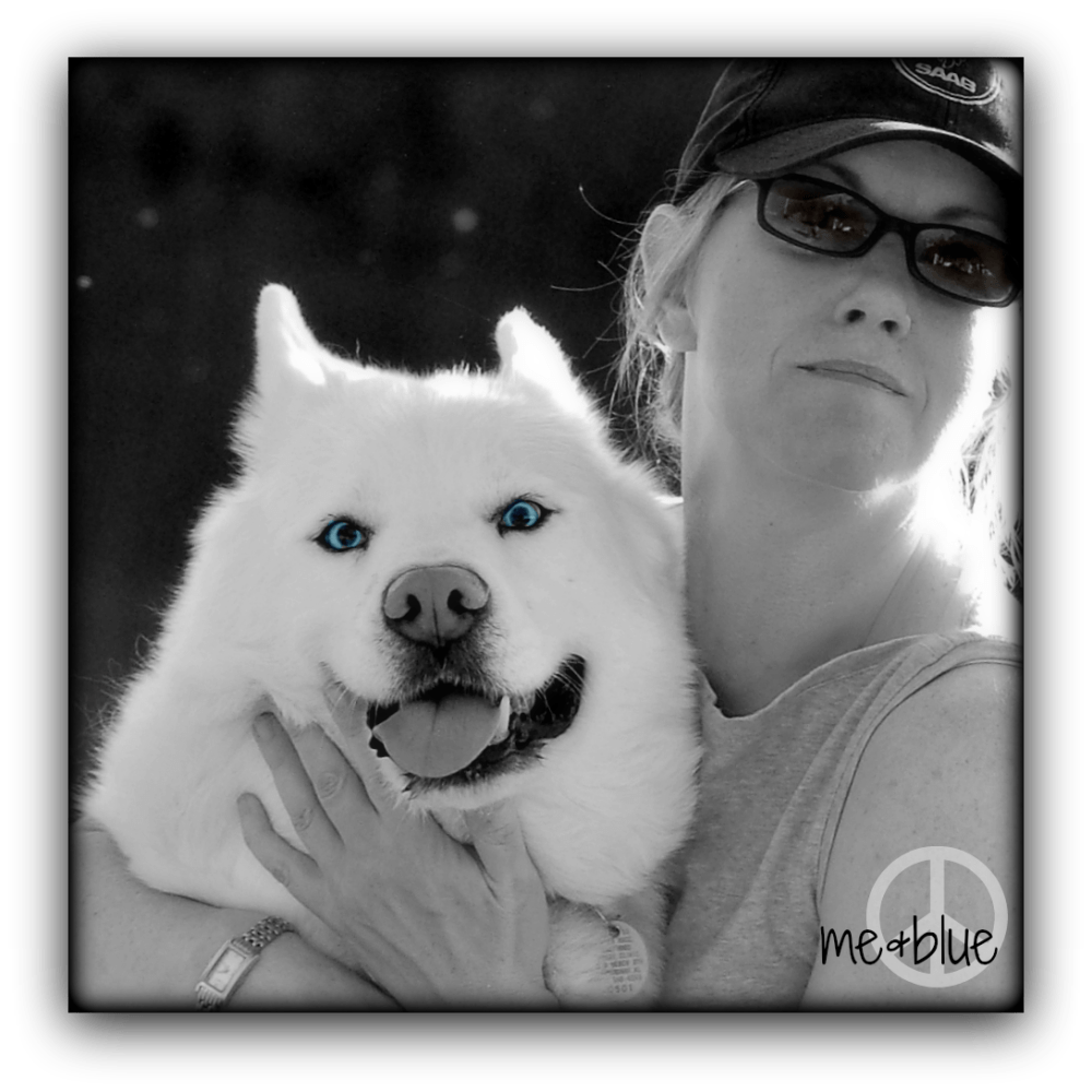 my drunk looking husky