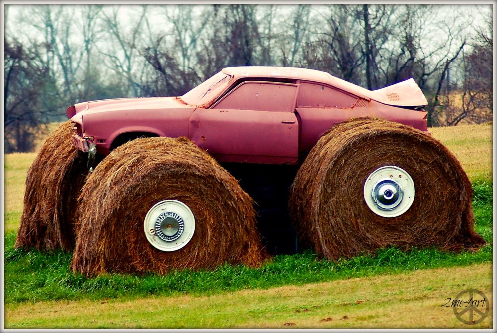 Hay, that's my car...