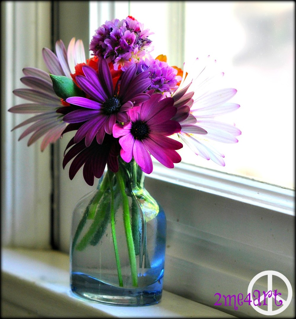 i miss my purple spring