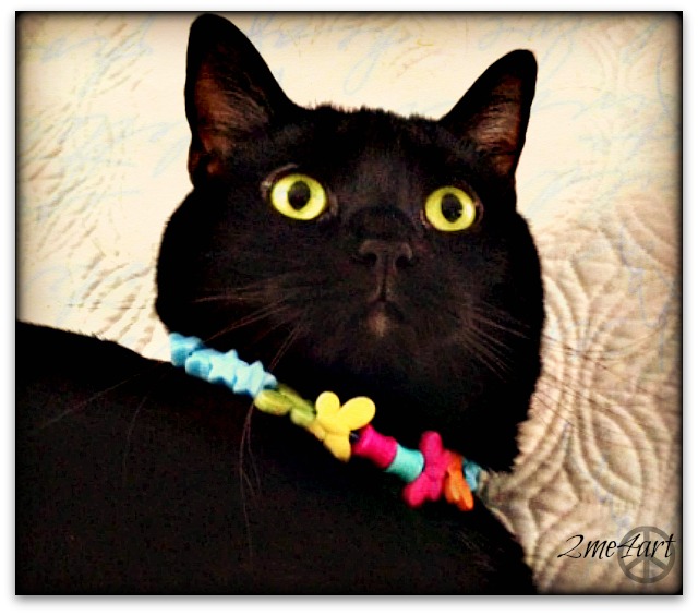 IV got a new necklace