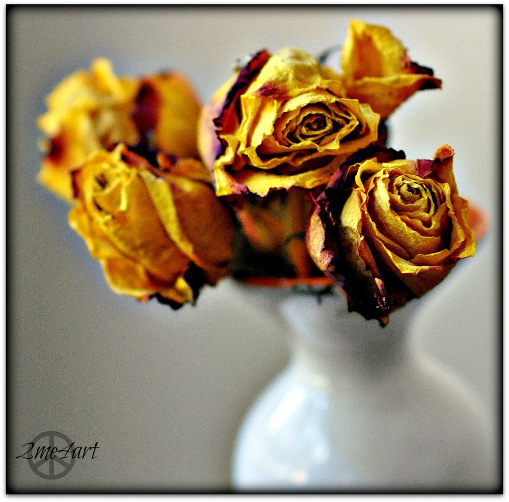 my high school dried roses