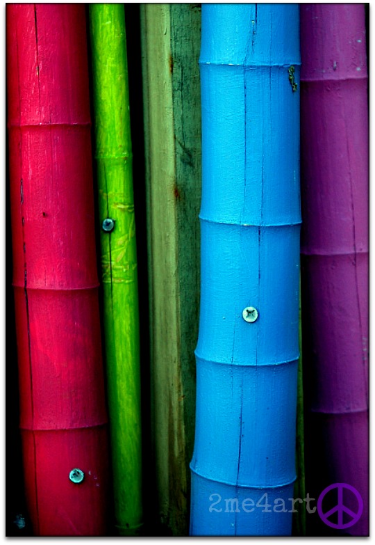 painted bamboo fence