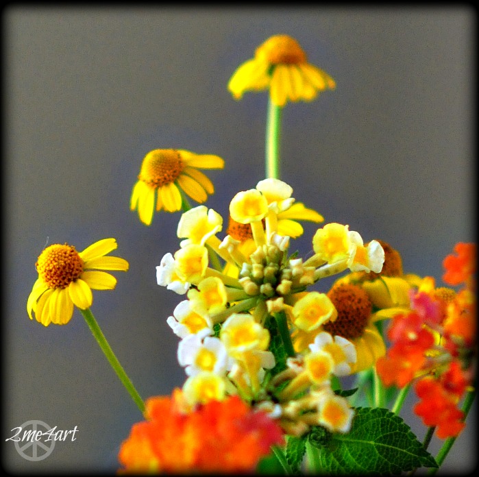 the smallest bouquet 