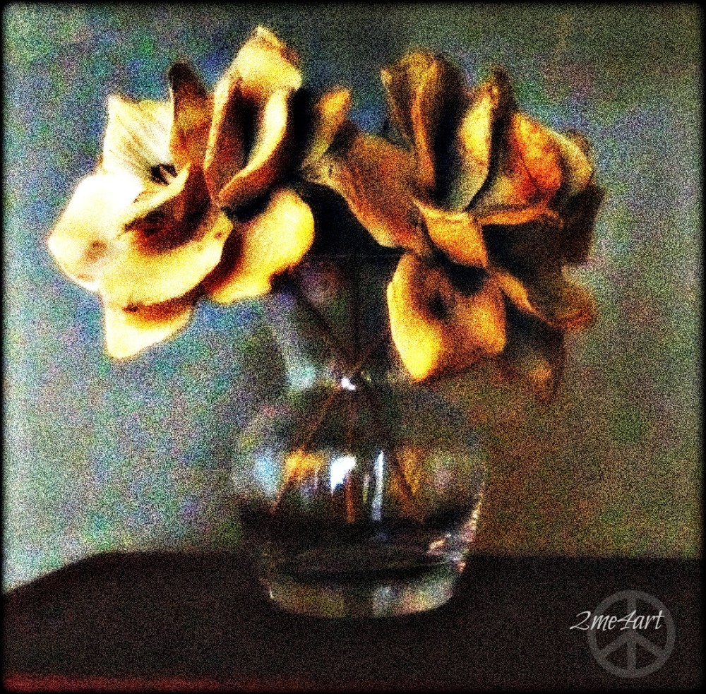 poor lighting on a beautiful display