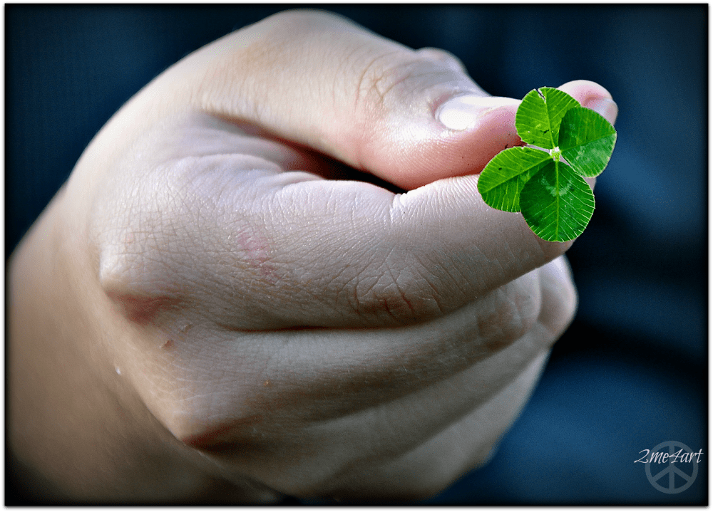 his third four leaf clover