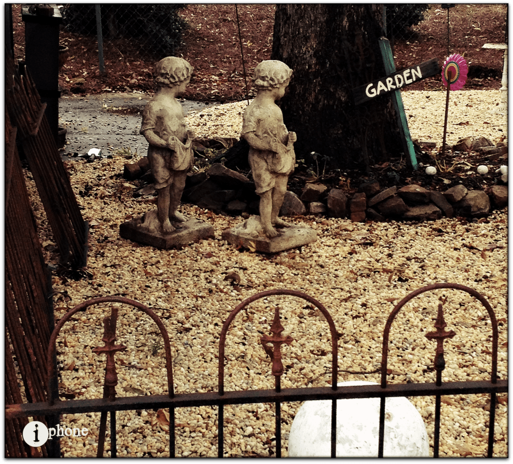 watching the grass grow