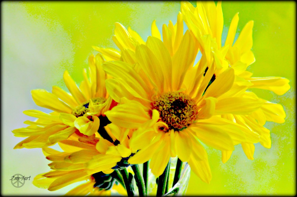 feeling a bit yellow