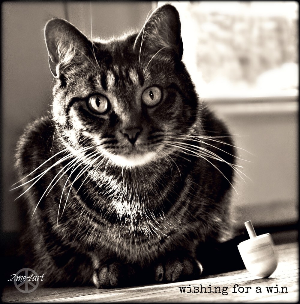 what in the world am i doing?