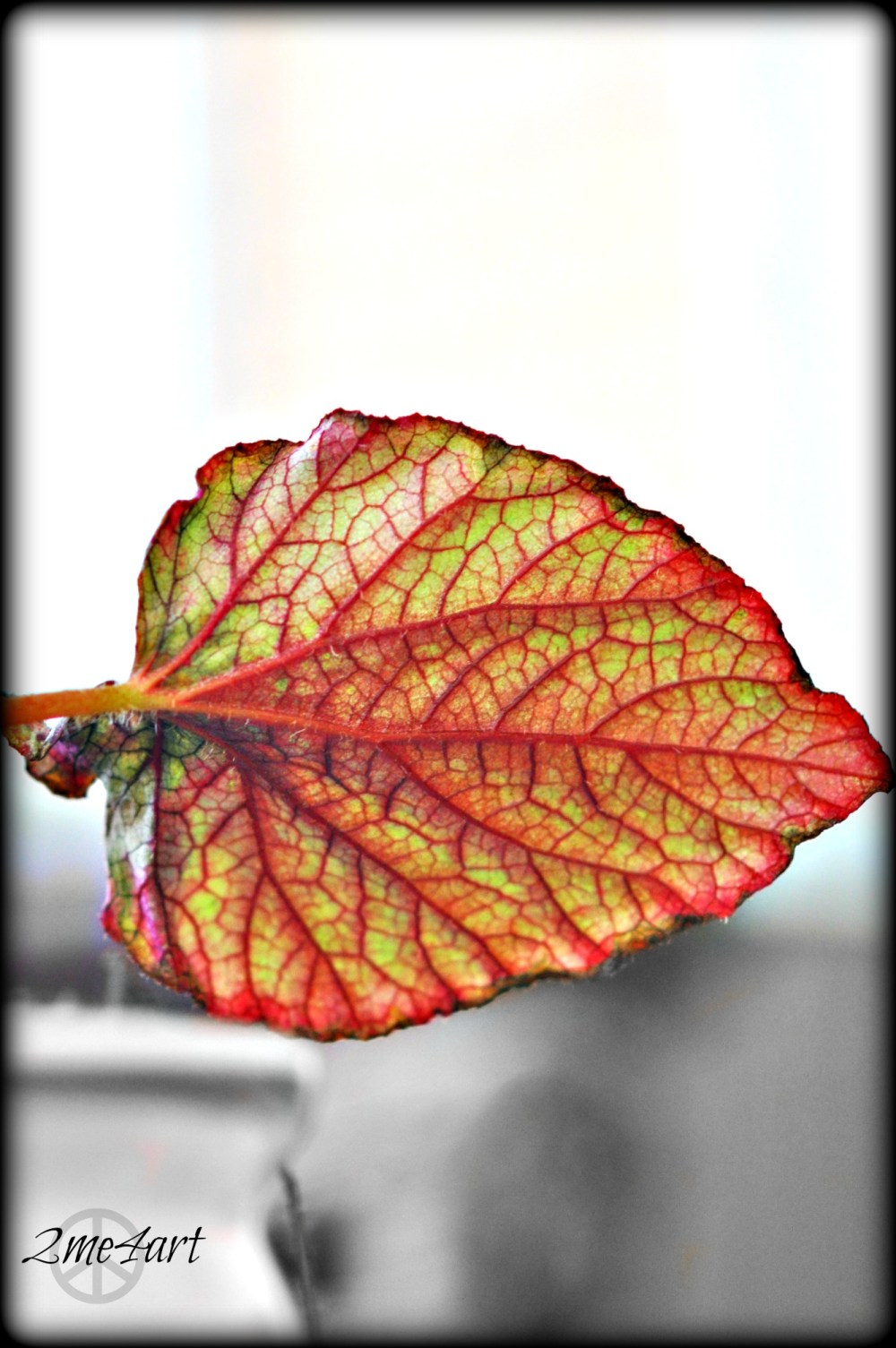 do not detract from it