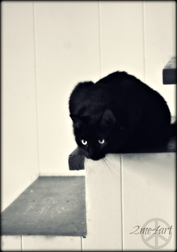 Ivy acting like a vulture