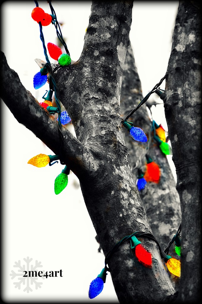 How we  get through the grey winter.