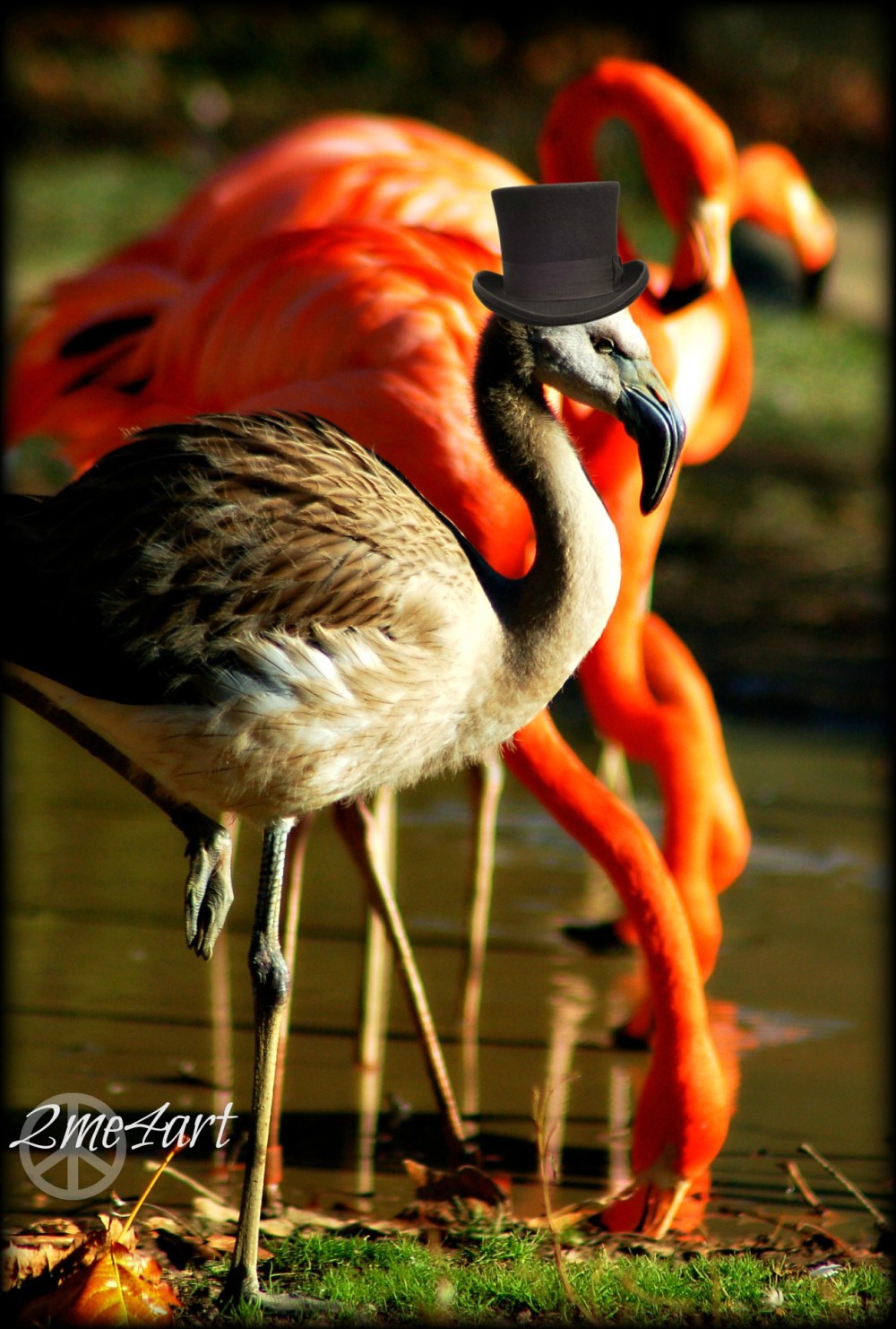 standing out in a crowd