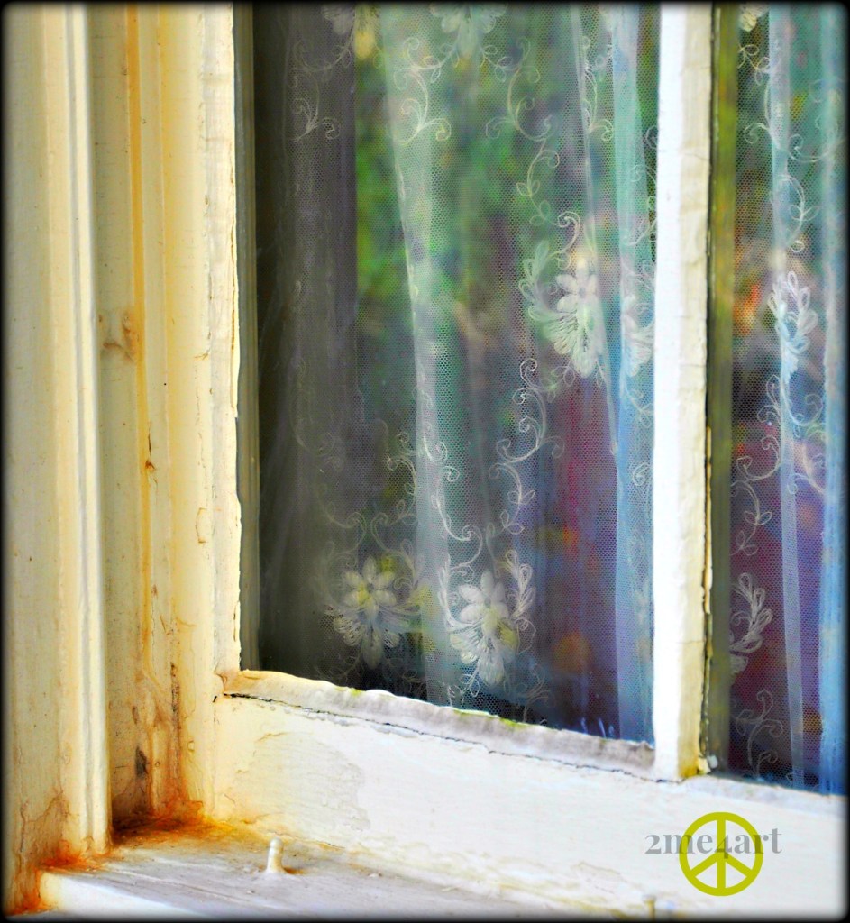 Arlington House window.  Birmingham, Alabama