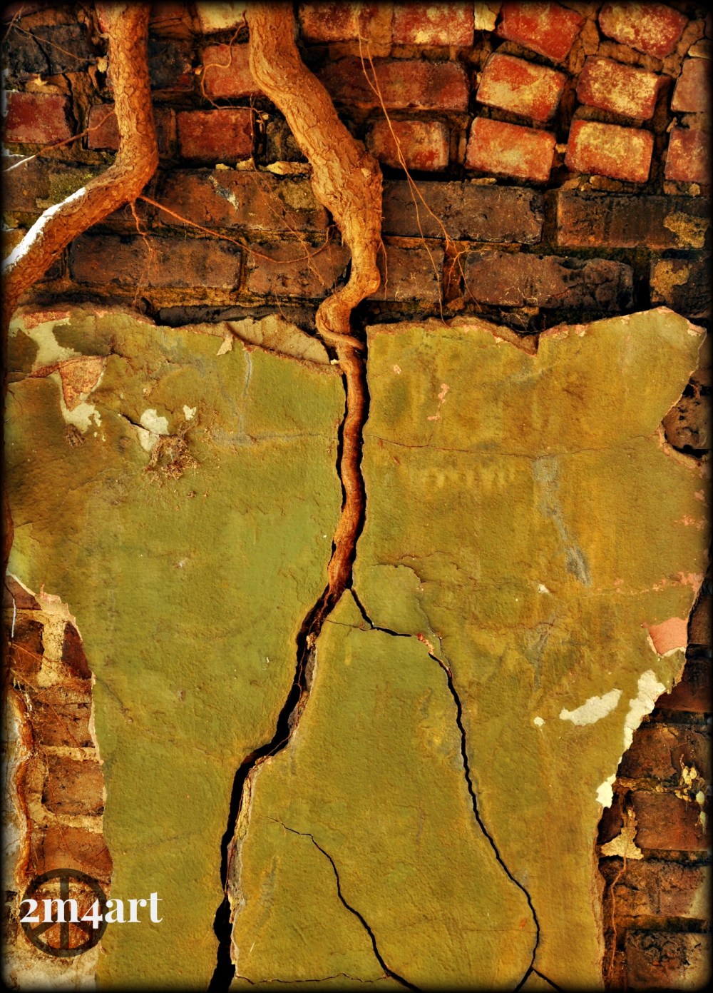 root through the plaster