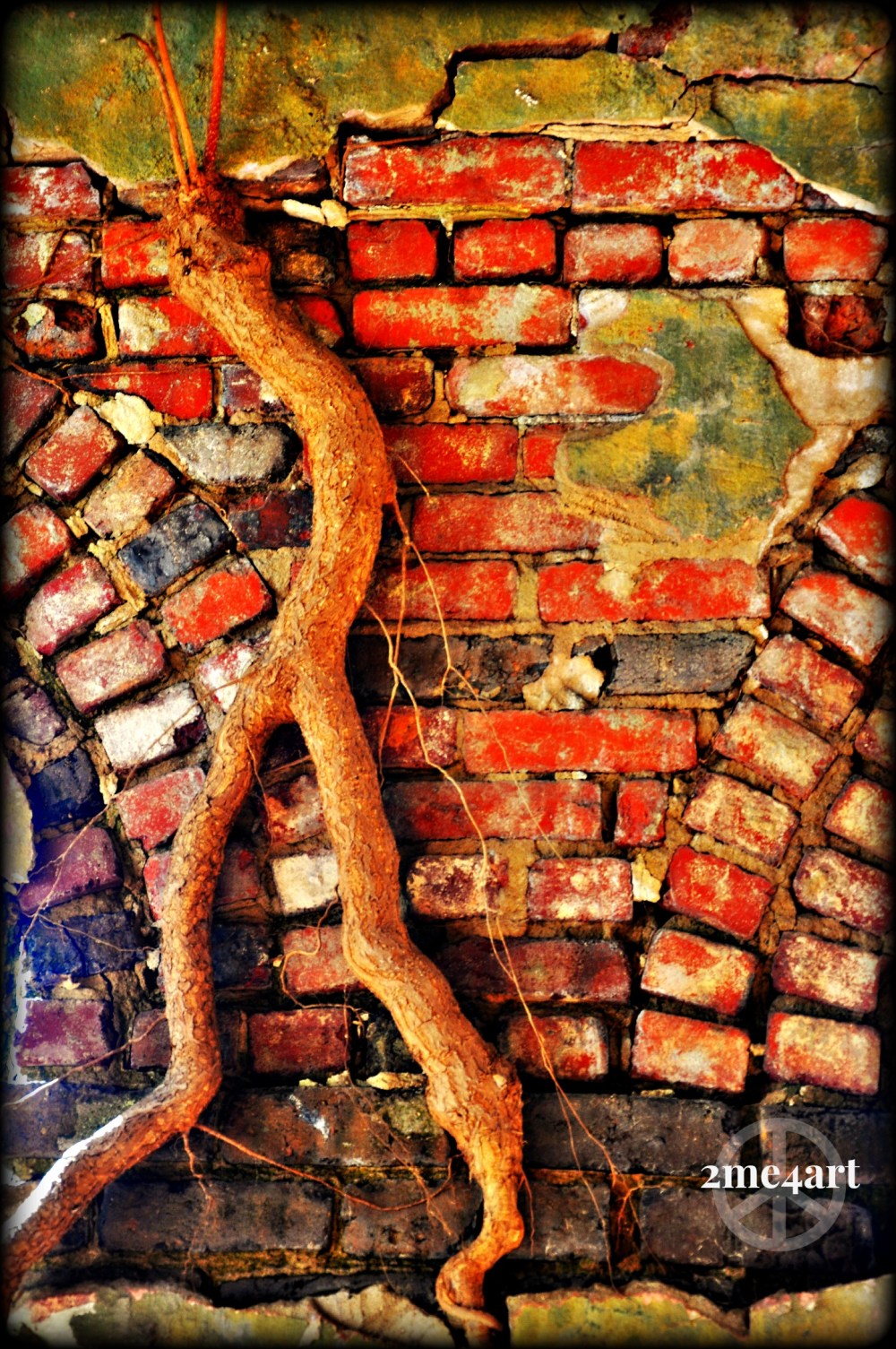 nature tears down the walls