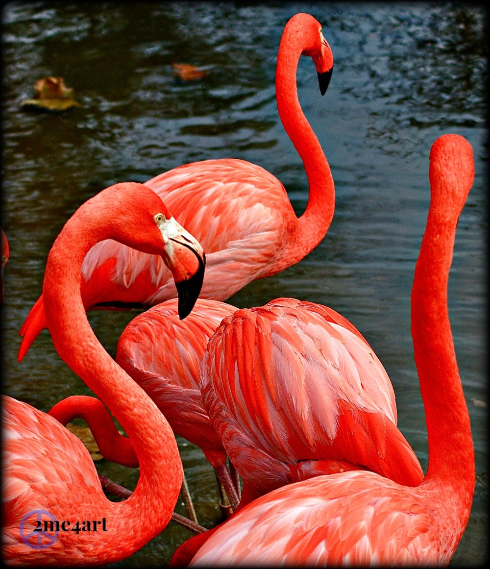 do think that pink is a bit too much?