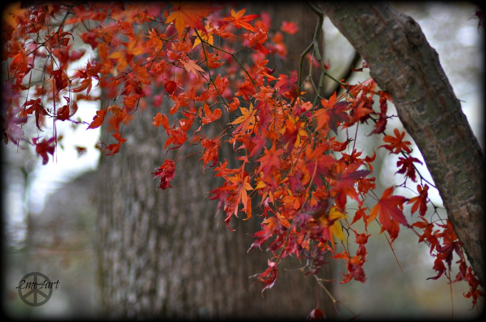 if i caught fire, would you notice?