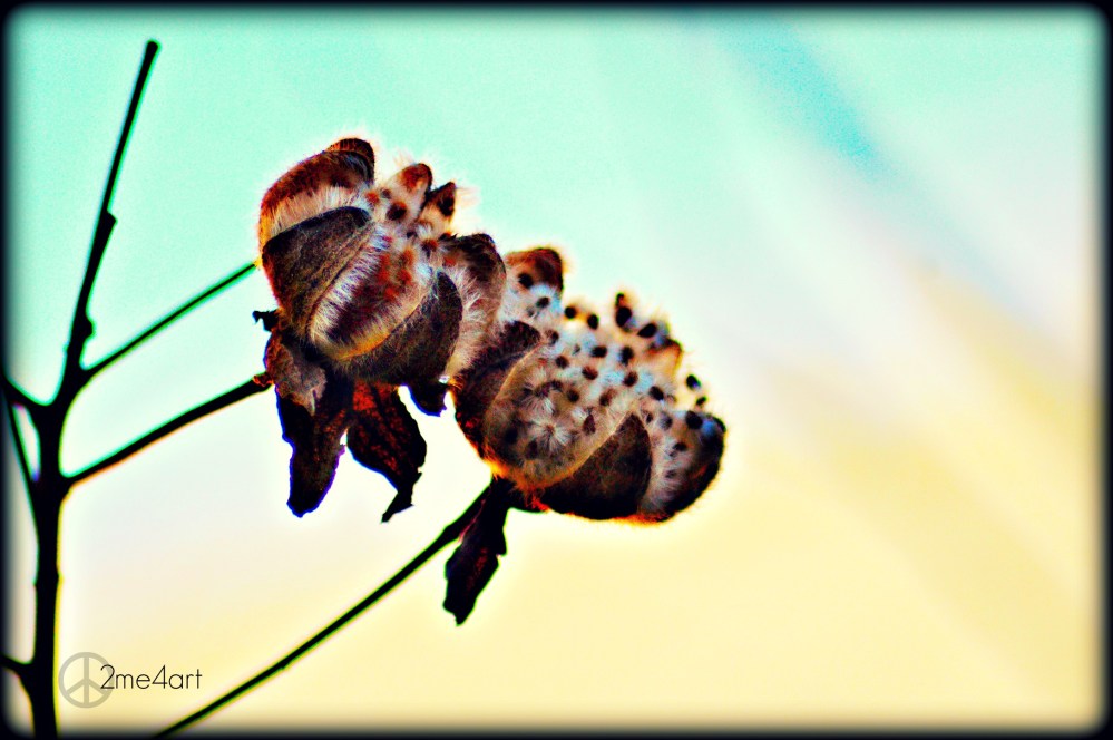 waiting for the right wind