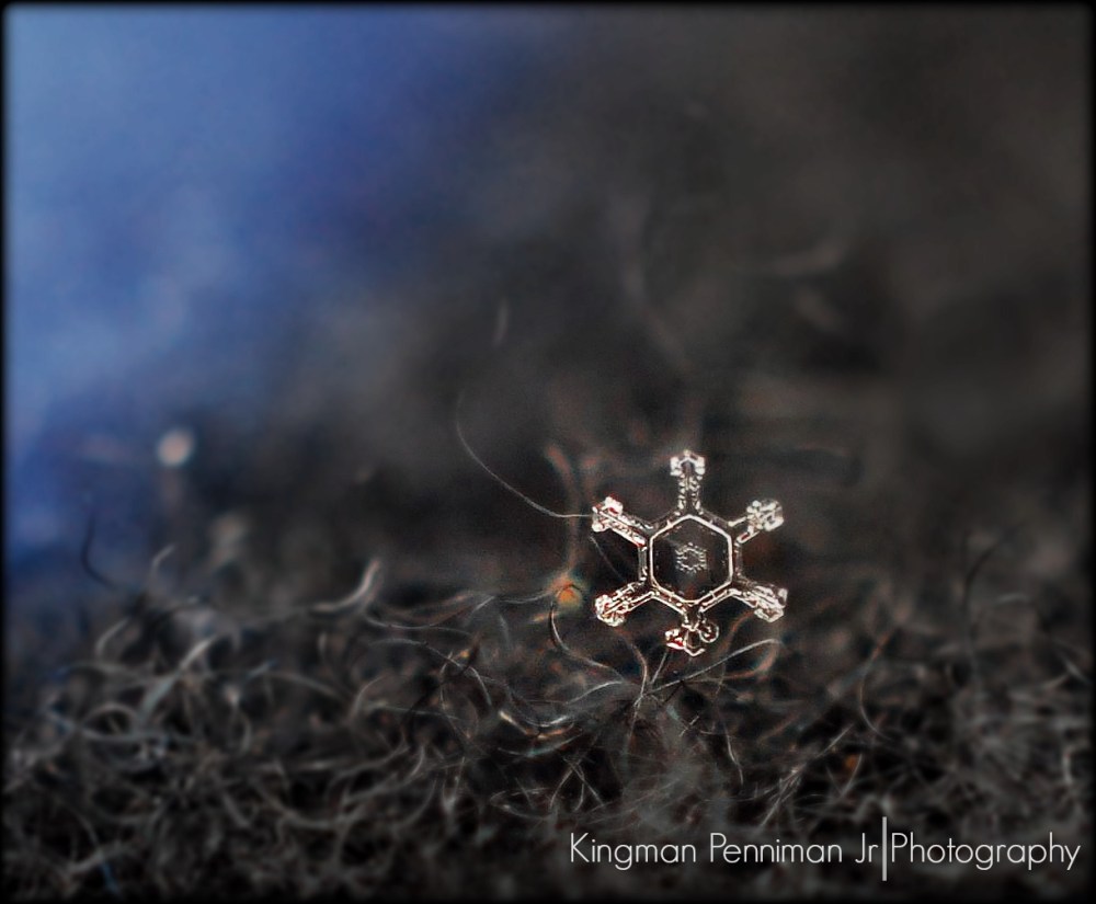 This is a good friend of mine from my hometown.  His photography is outstanding.  As is the nature he captures.