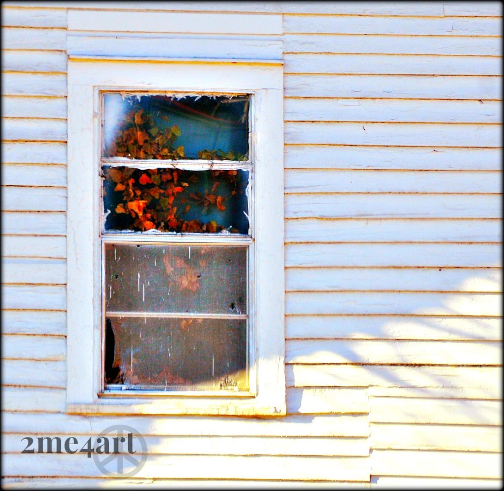 the ivy grew on the inside of the house…