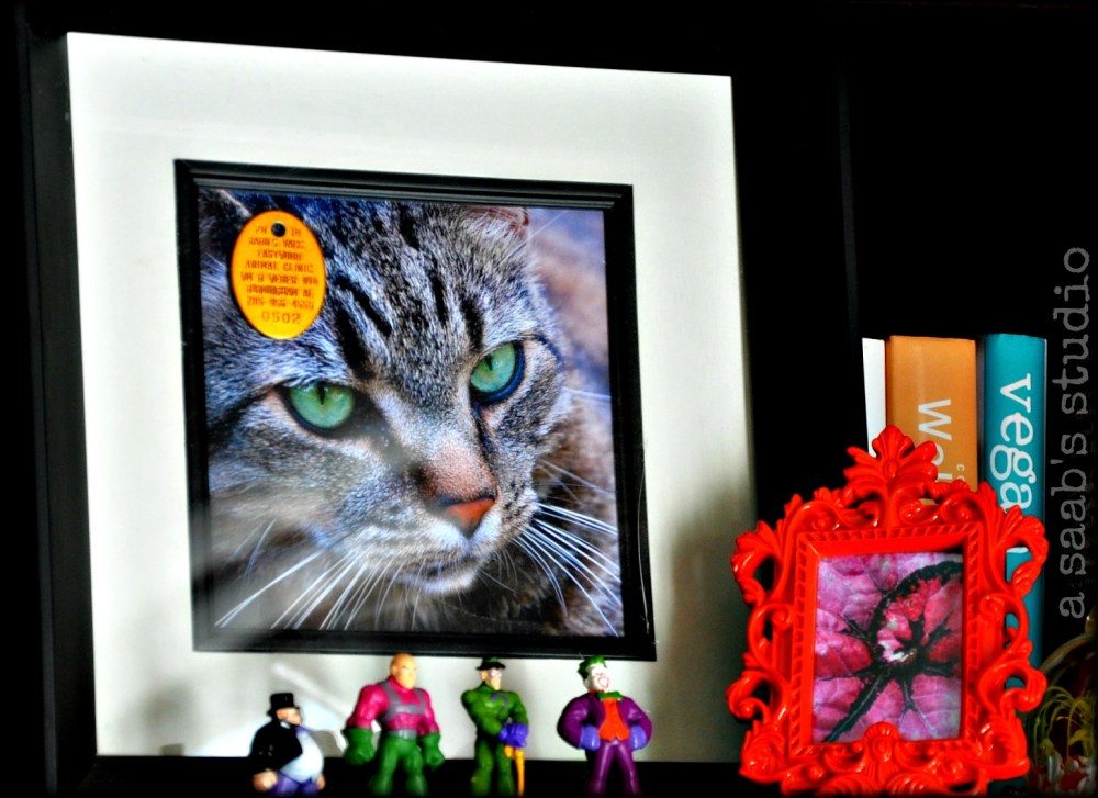 my cat passed away, this frame contains his license & a whisker. DC comic bad guys are beneath him