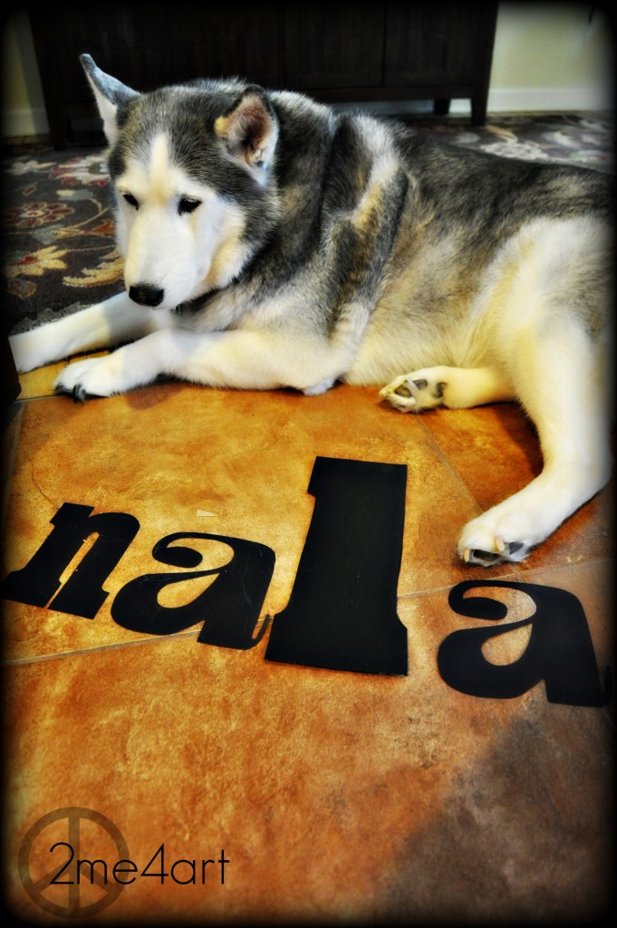 I saw that I could spell my dog's name…