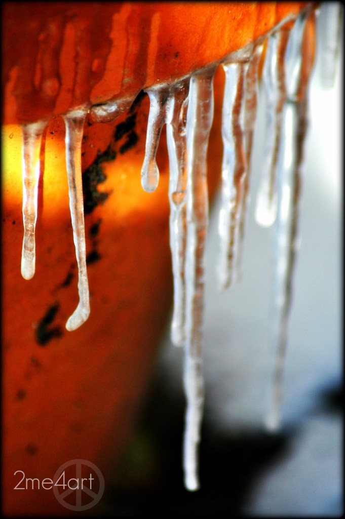 on our front deck .Birmingham Alabama's 3rd day after wild snow storm.