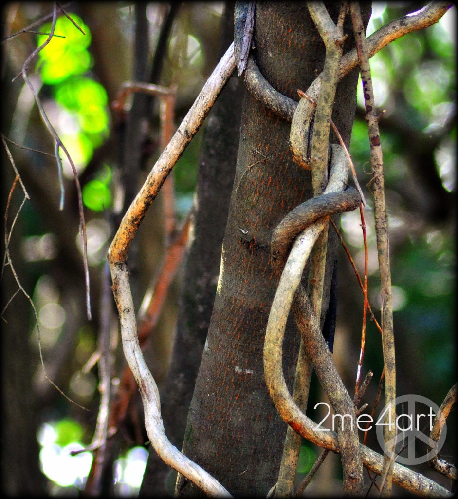 what a tangled web we weave…