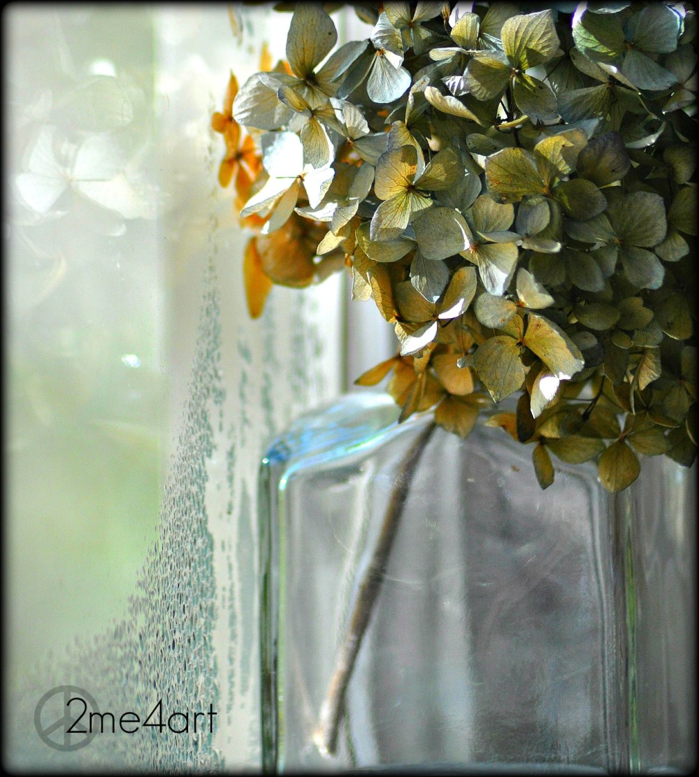 hydrangea & glass