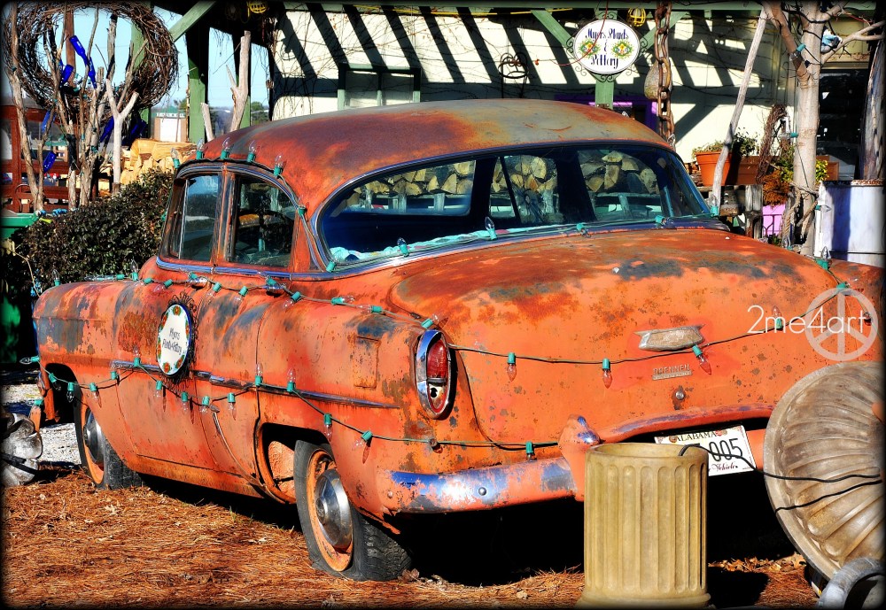 …go to Myers Plant & Pottery.   AND don't forget your camera, eye candy is everywhere!