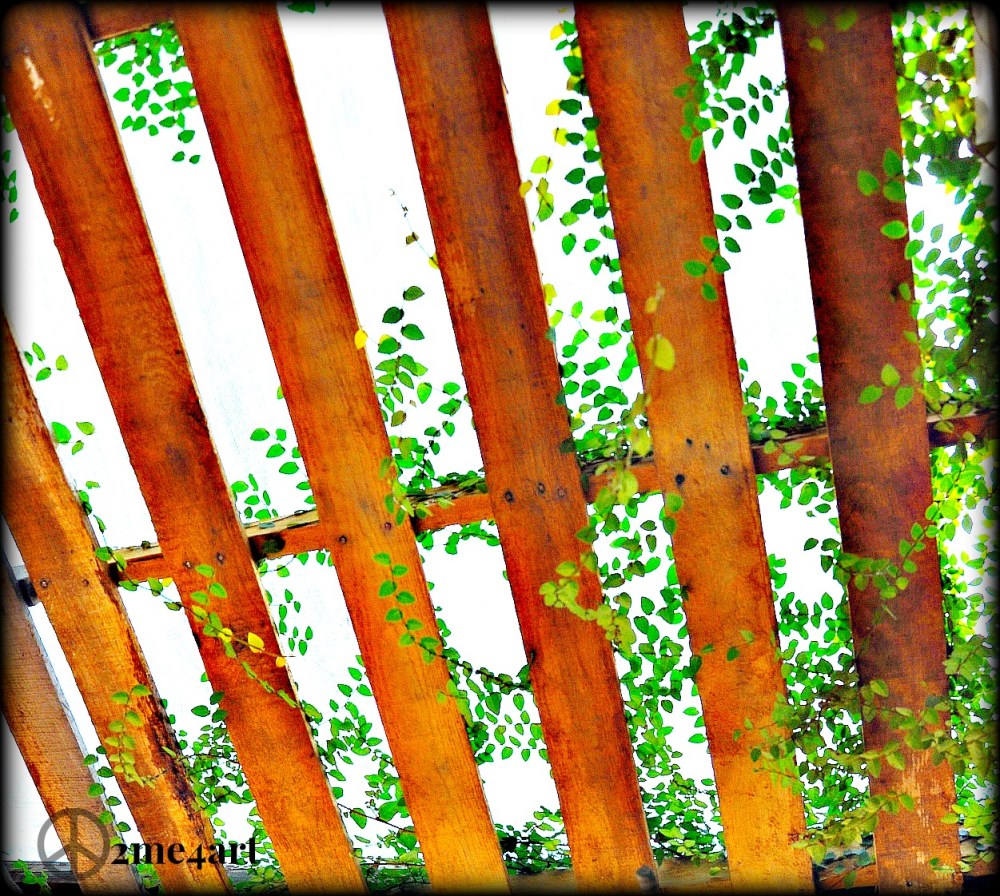 up cycle wood for ceilings!