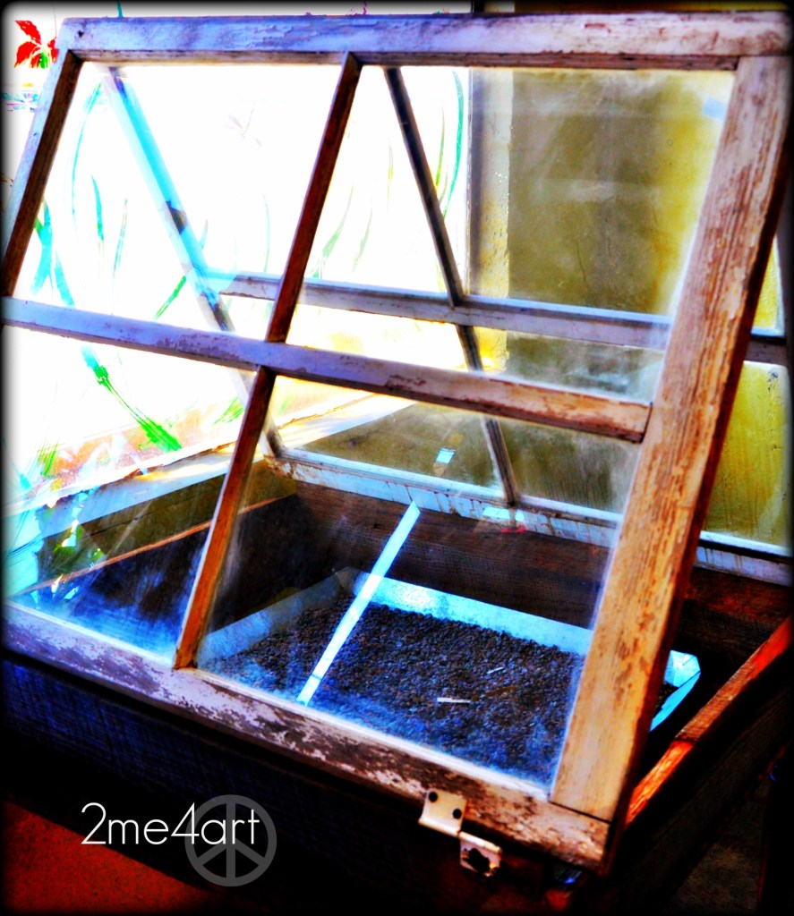 brilliant idea!  A great way to decorate a space inside a sunny room.  Start seeds, or put full grown plants.  Old table & two old windows.  I found this at Myers Plant & Pottery