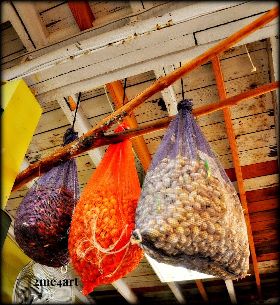 The couple who owns Myers nursery were very friendly. I was given a bit of history here.  The gentleman started working in the business when he was six years old