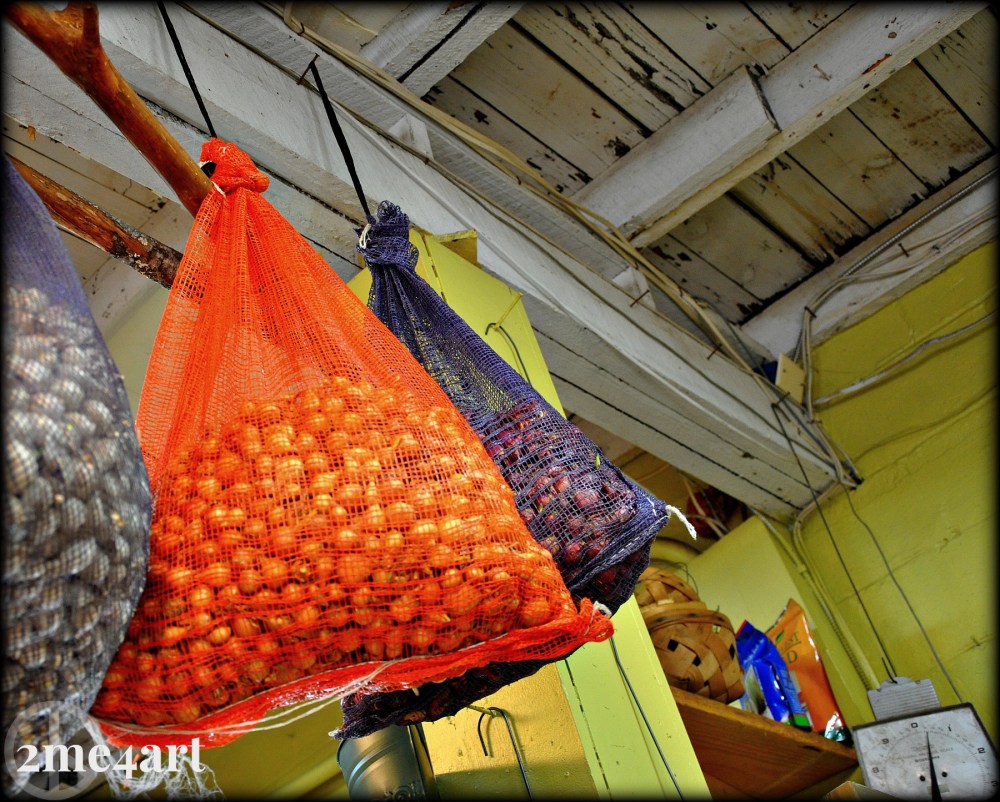Another view of the net bags filled with bulbs, just waiting for spring