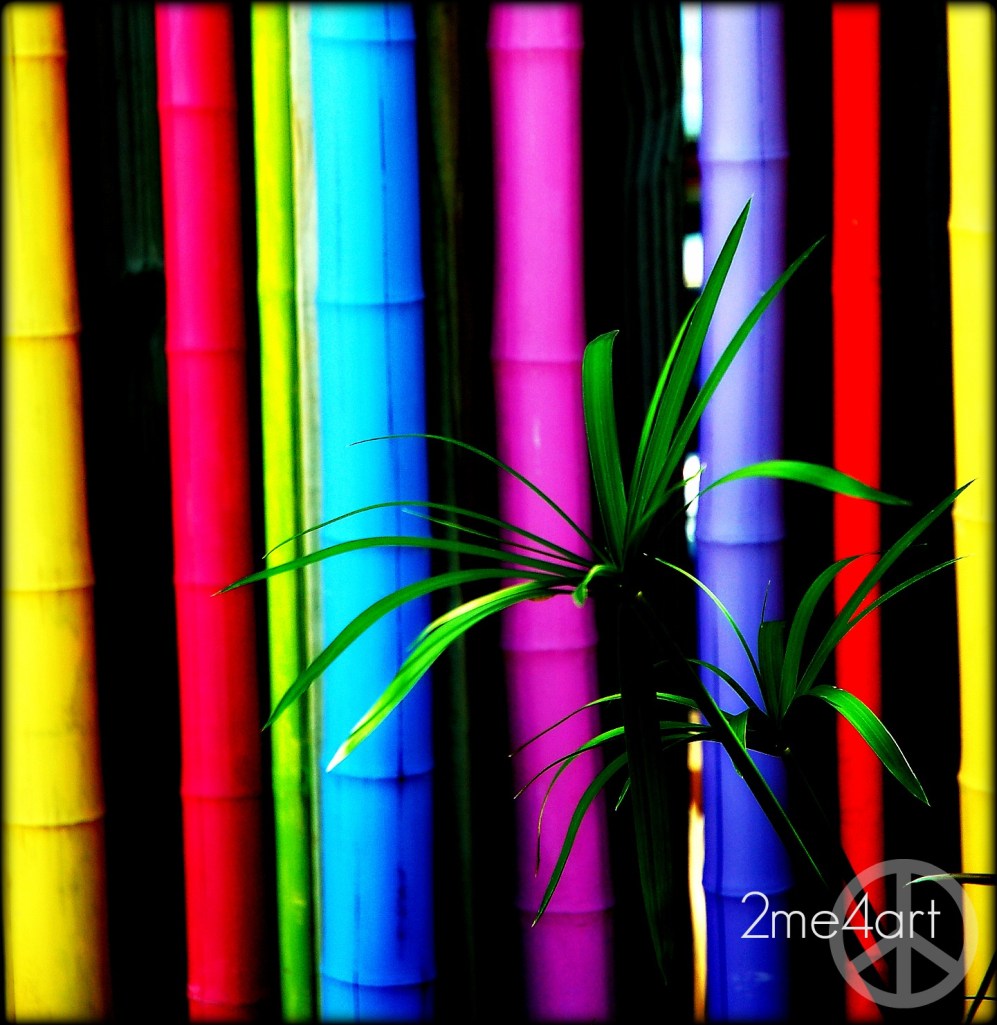 this bamboo was primed & painted in these wonderful bright colors & screwed to the back of a privacy fence. This was at a wonderful garden shop called, "Sweet Pea" in Homewood, Alabama.  