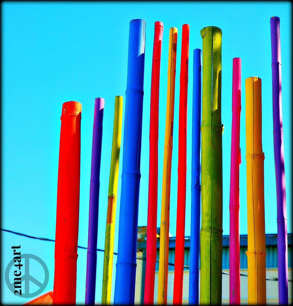 this is the top of the fence…it is much higher then the privacy fence-- which is a great idea if you have a terrible view.  