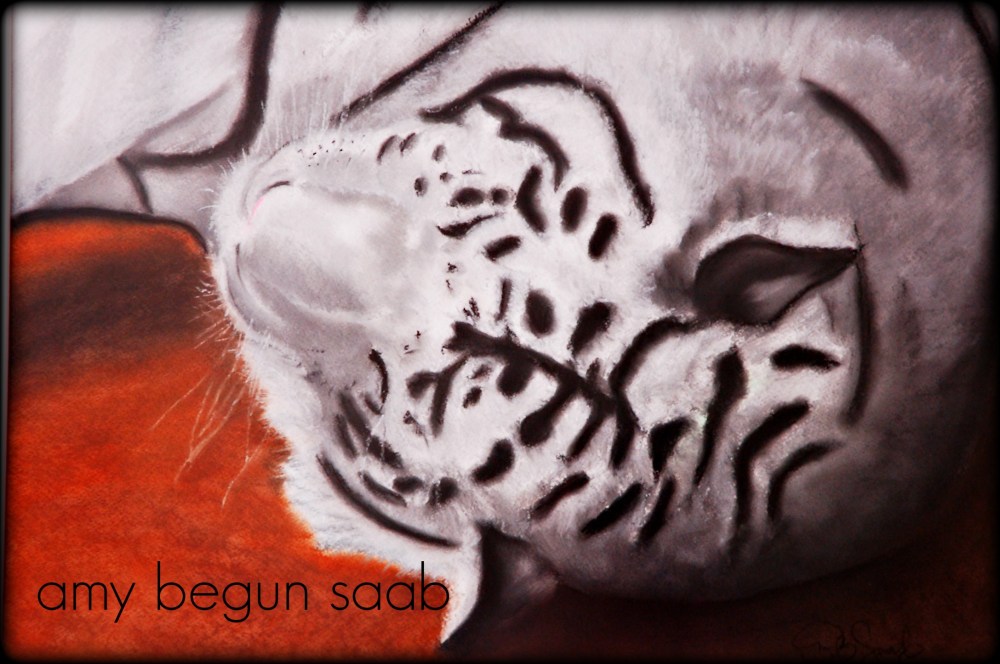 this white tiger lived in the Birmingham Zoo.  my favorite place to stand in the Zoo.  This is soft pastel on sandpaper