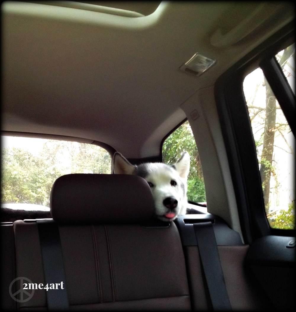 she stuck her tongue out