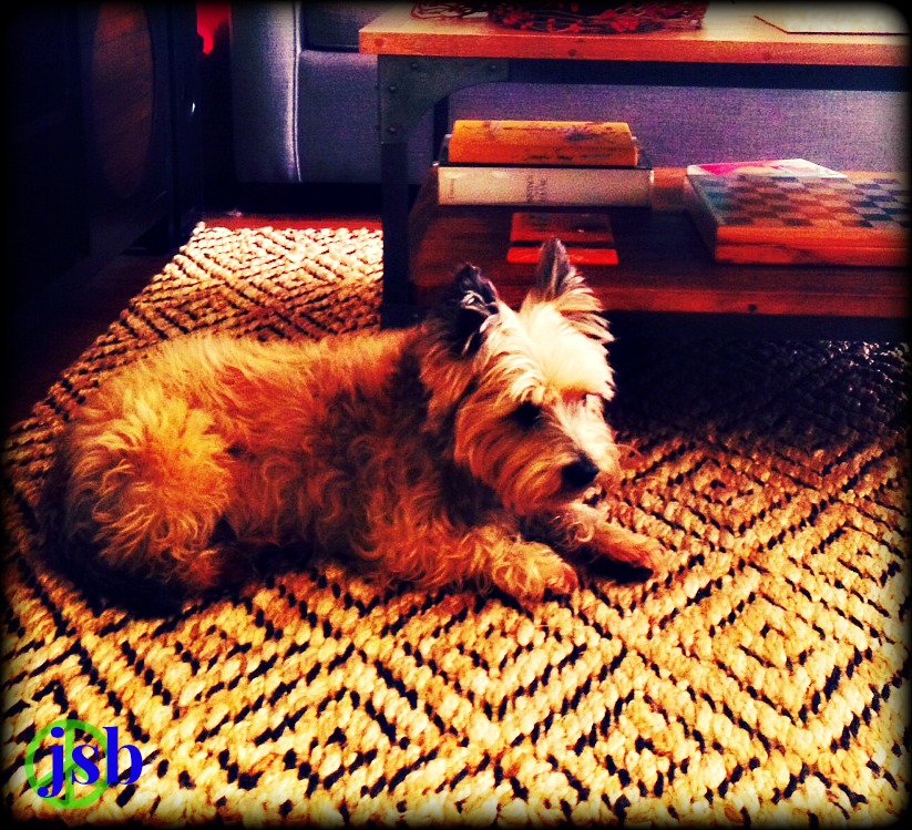 She sure is a Bonnie lass